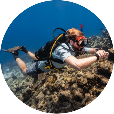 Diving with the Avelo System