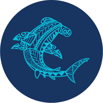 Avelo Instructor course