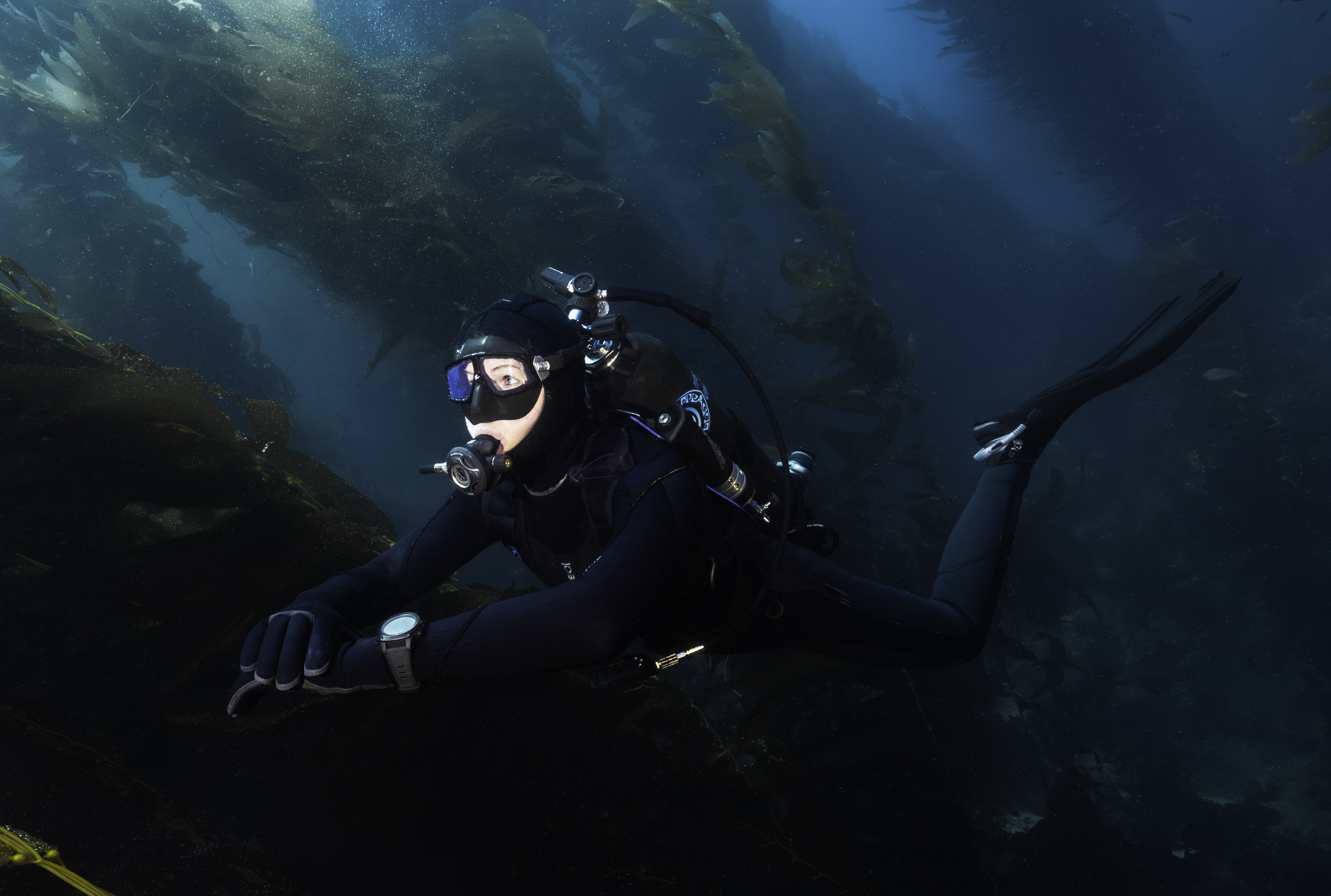Experienced diver with Avelo