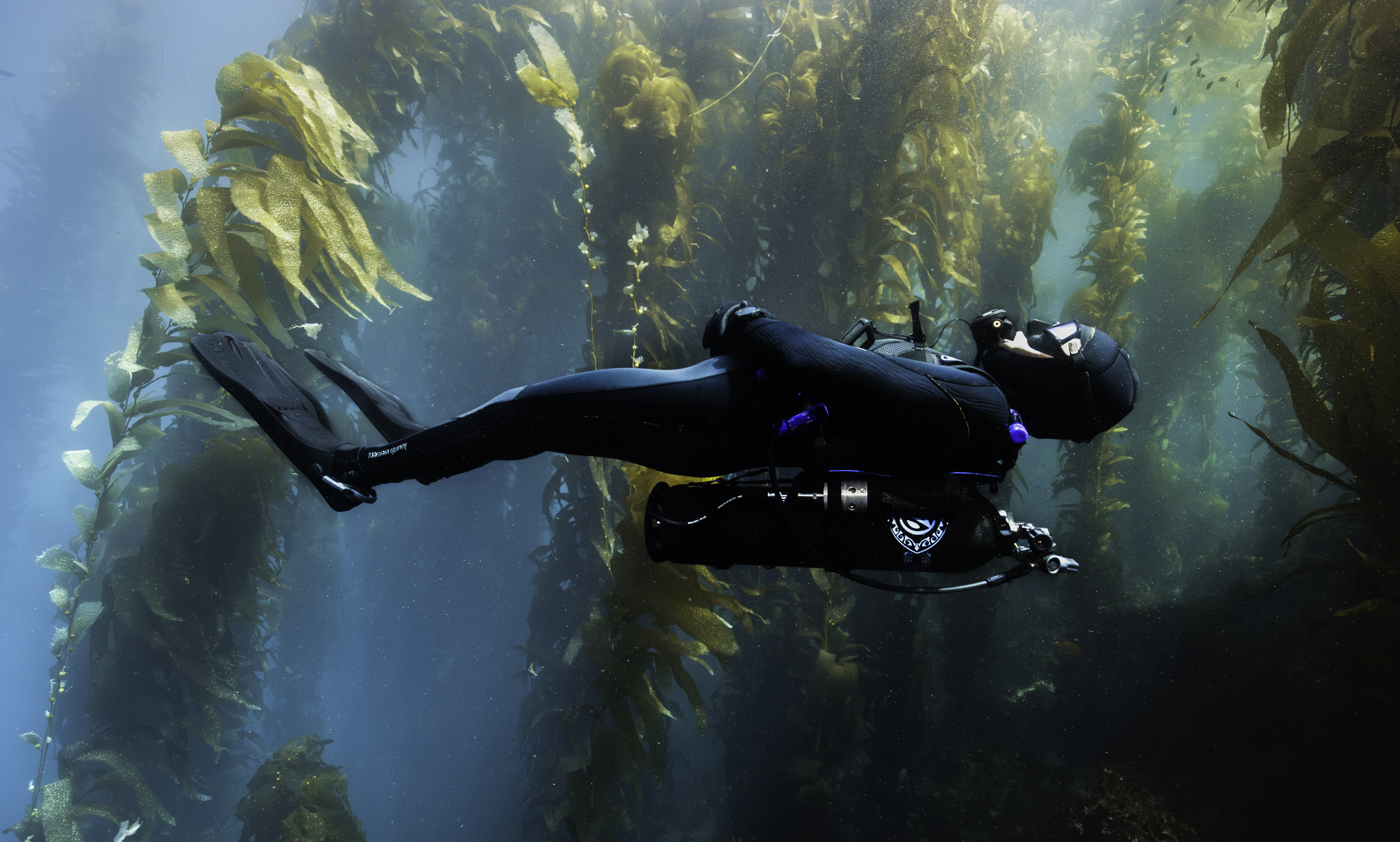 Certified divers with Avelo