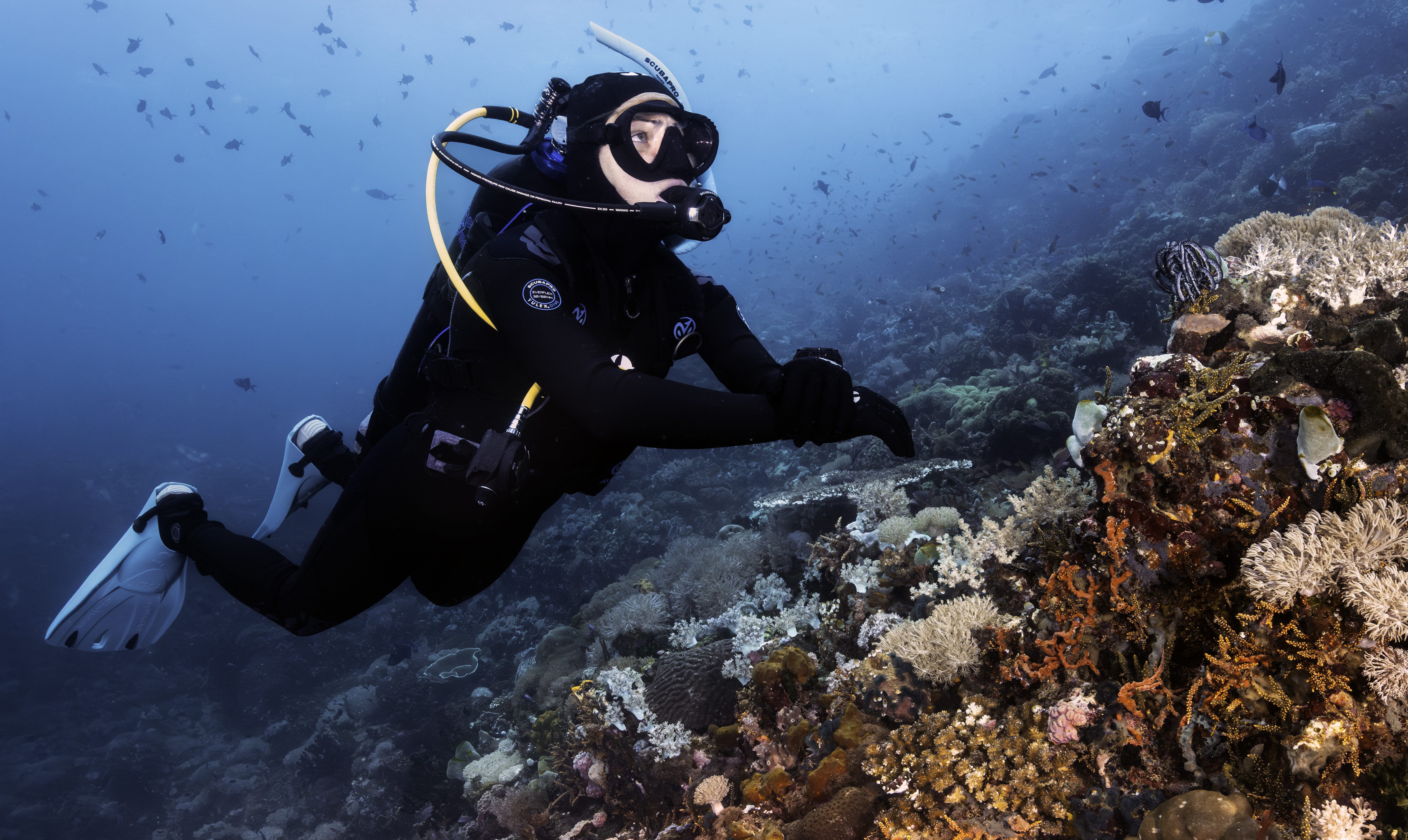 Avelo Dive Centers