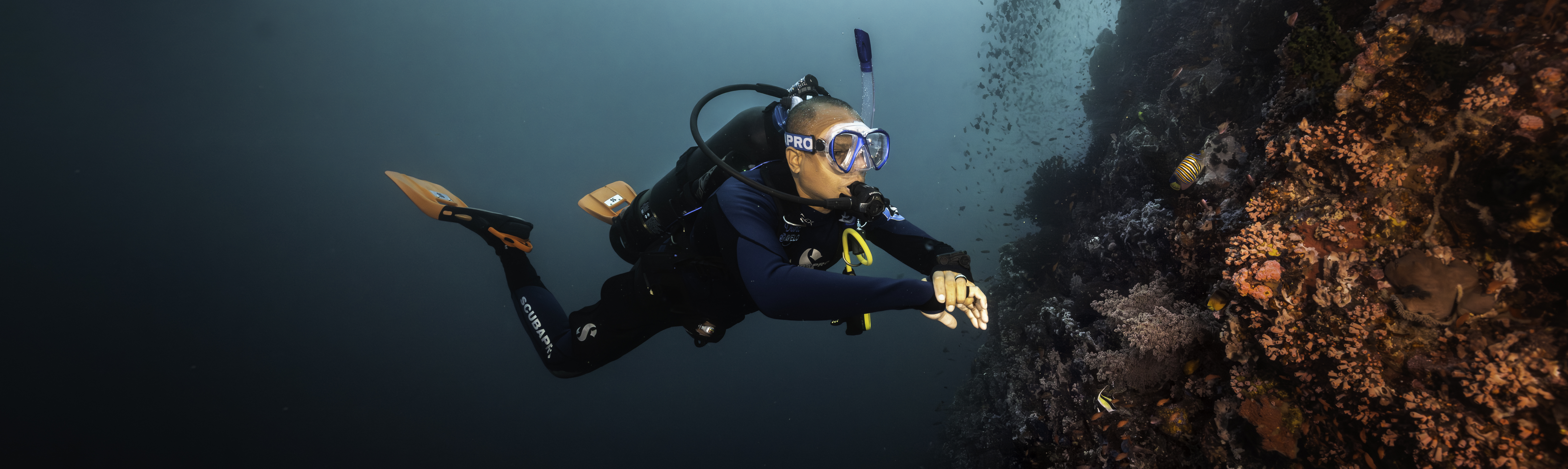 Avelo instructor pathway
